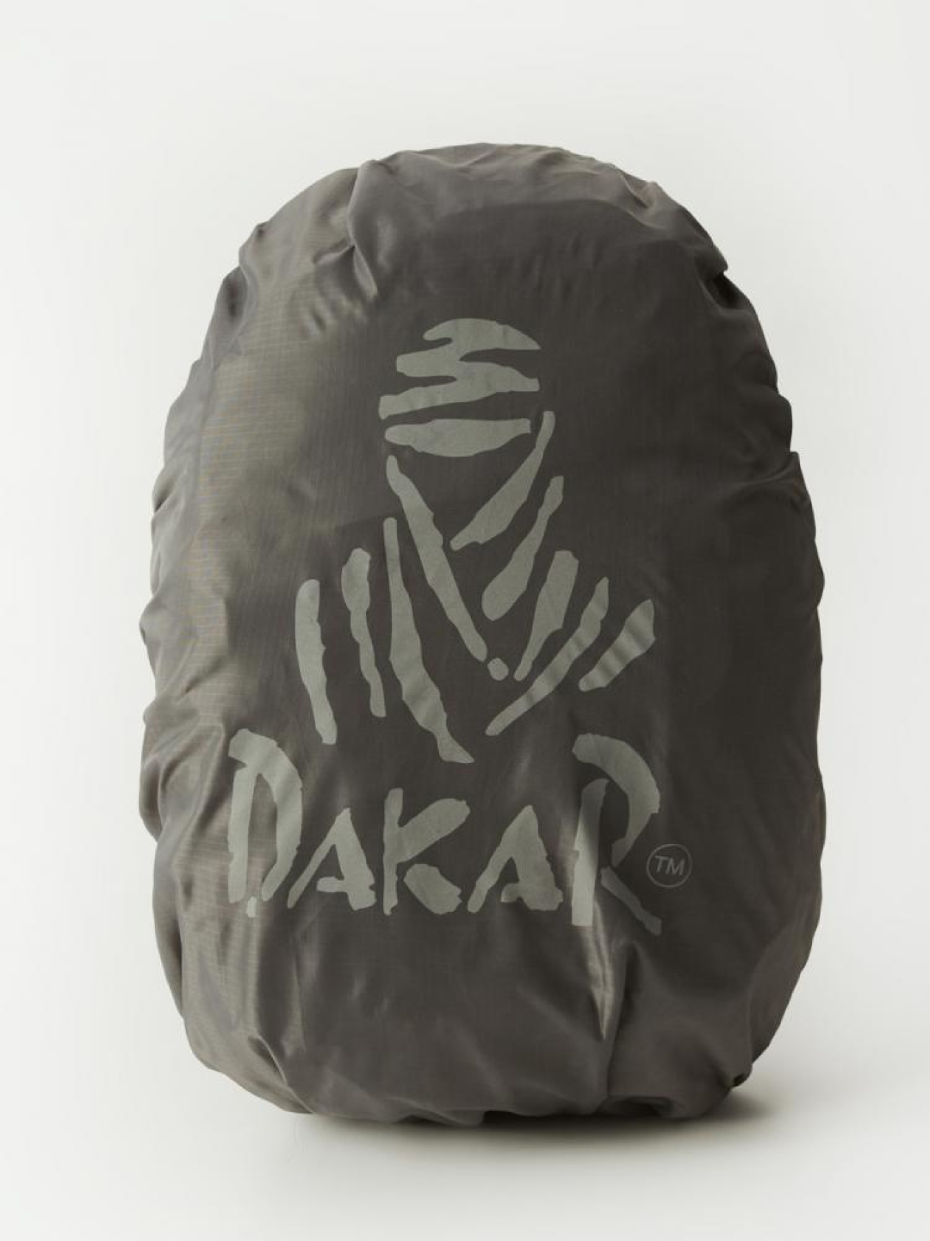 Рюкзак DIVERSE модель 10045715 Фото