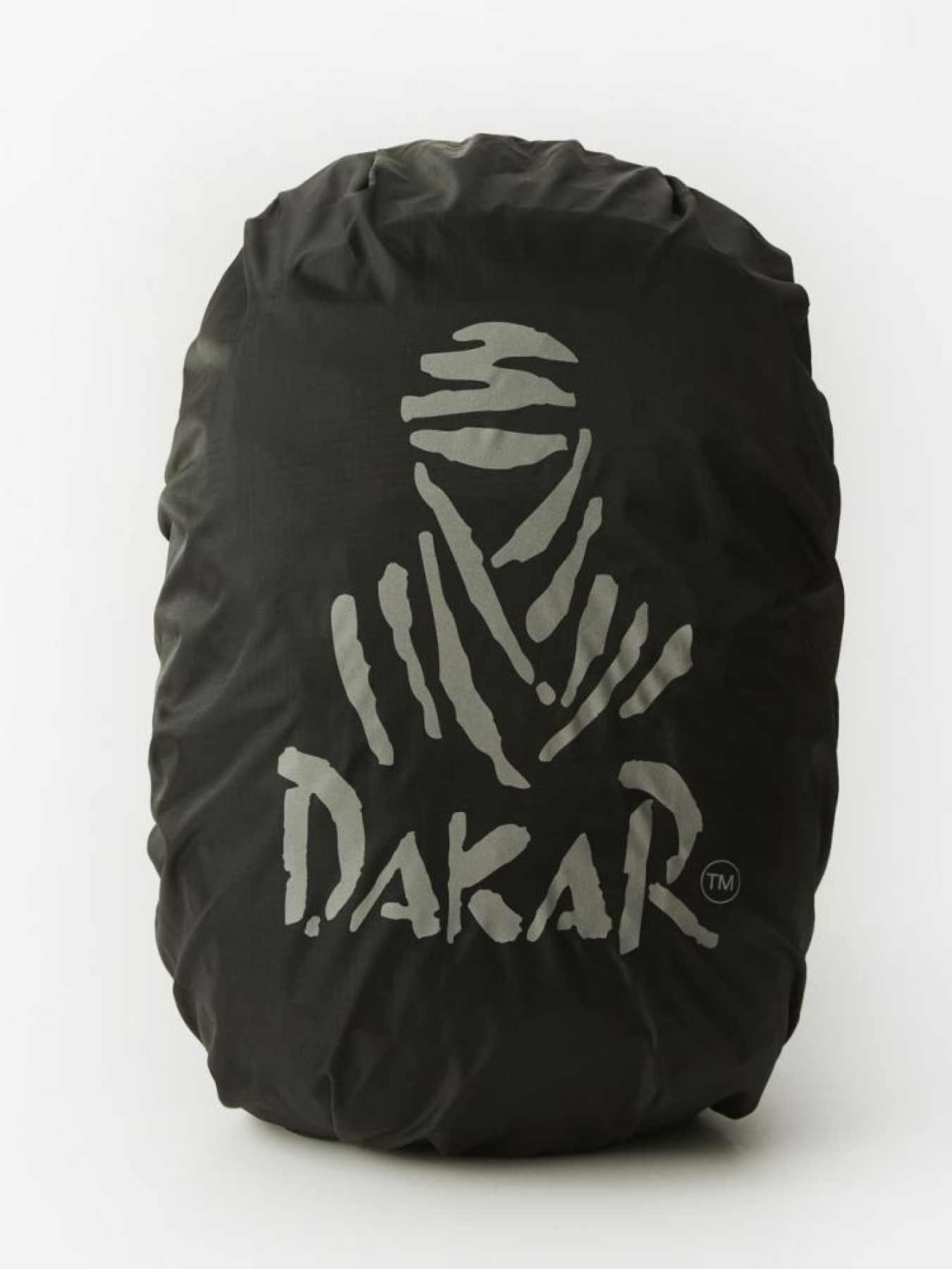 Повседневный рюкзак DIVERSE модель 10045715 Фото