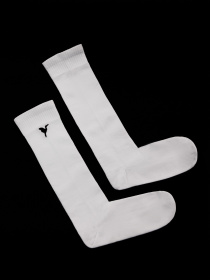 Носки и гольфы GNIZDO модель WBCLHSST Носки и гольфы GNIZDO модель WBCLHSST Фото