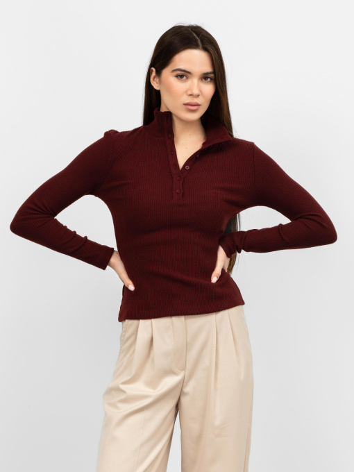 Лонгслив Famo модель LNG-31435_01 Фото