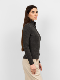 Лонгслив Famo модель LNG-31435_03 Фото