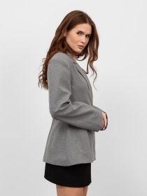 Пиджак Famo модель PG-251004_02 Фото