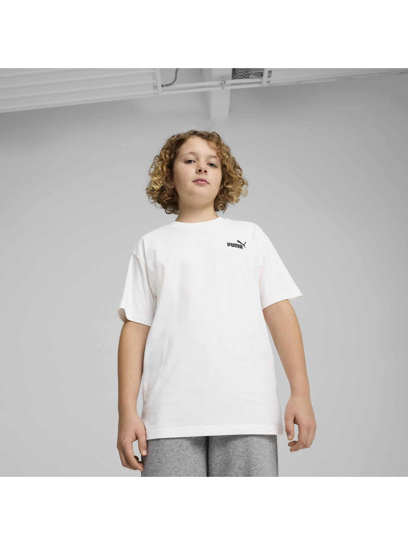 Футболка PUMA Ess Small No. 1 Logo Tee модель 684920 Фото