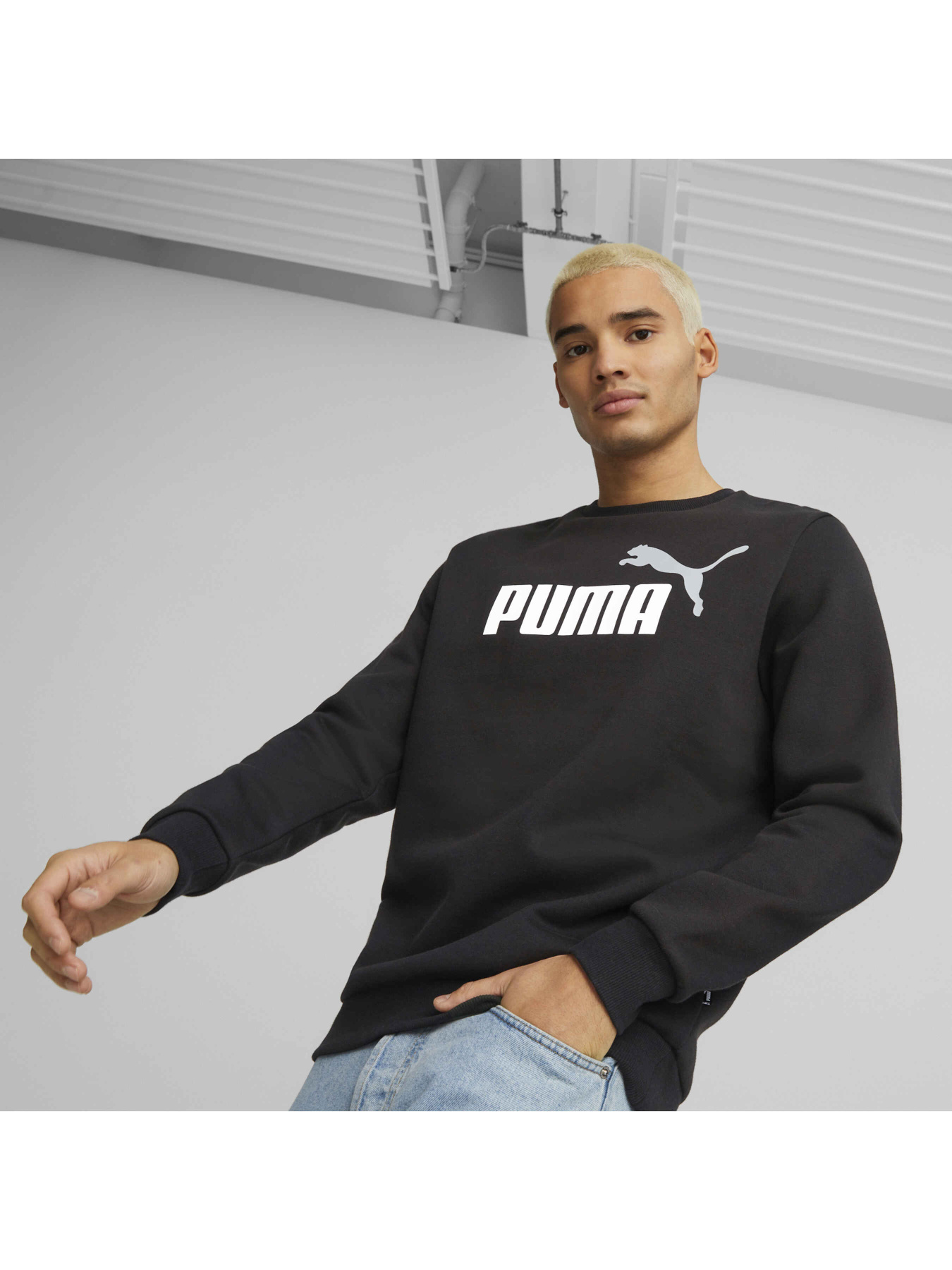 Свитшот PUMA Ess+ 2 Col Big Logo Crew модель 586762 Фото