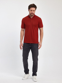 Поло Trend Collection модель TC11436TerracottaFTBLK Фото