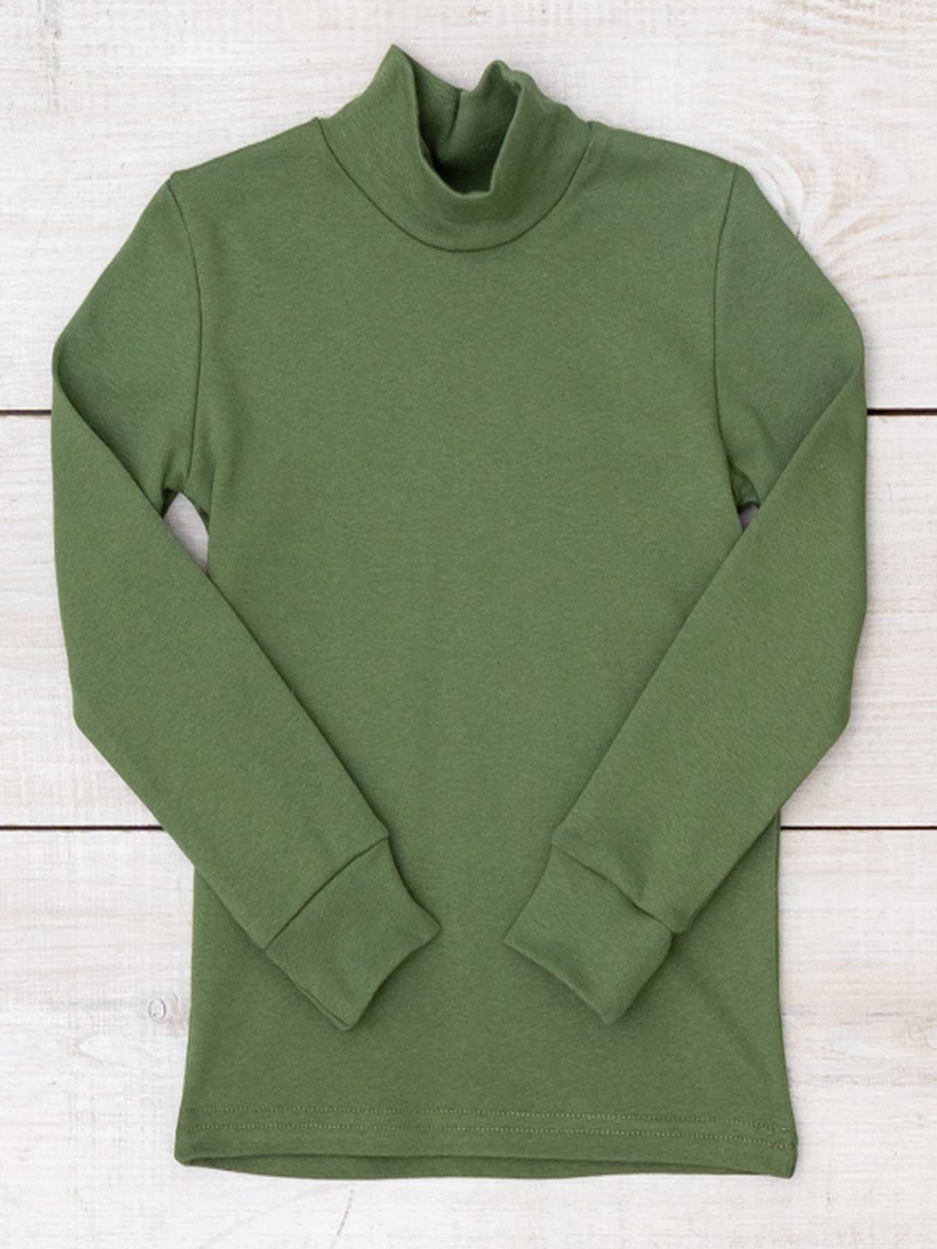 Водолазка дитяча, Темно-зелений Носи Своє (6068-040) модель 6068-040-fstashkovij Водолазка дитяча, Темно-зелений Носи Своє (6068-040) модель 6068-040-fstashkovij Фото