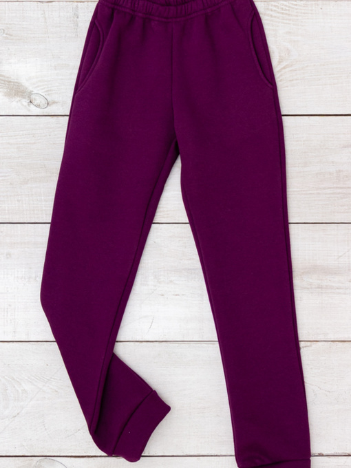 Джоггеры Носи своє модель 6231-025-baklazhan Фото