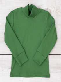 Водолазка Носи своє модель 6068-019-temnij-avokado Фото