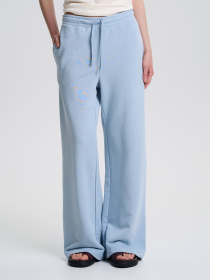 Штани повсякденні Роза модель 240610_gray_blue Фото