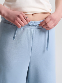 Штани повсякденні Роза модель 240610_gray_blue Фото