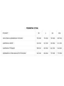 Рубашка DIVERSE модель 10037636 Фото