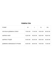 Сорочки DIVERSE модель 10038162 Фото