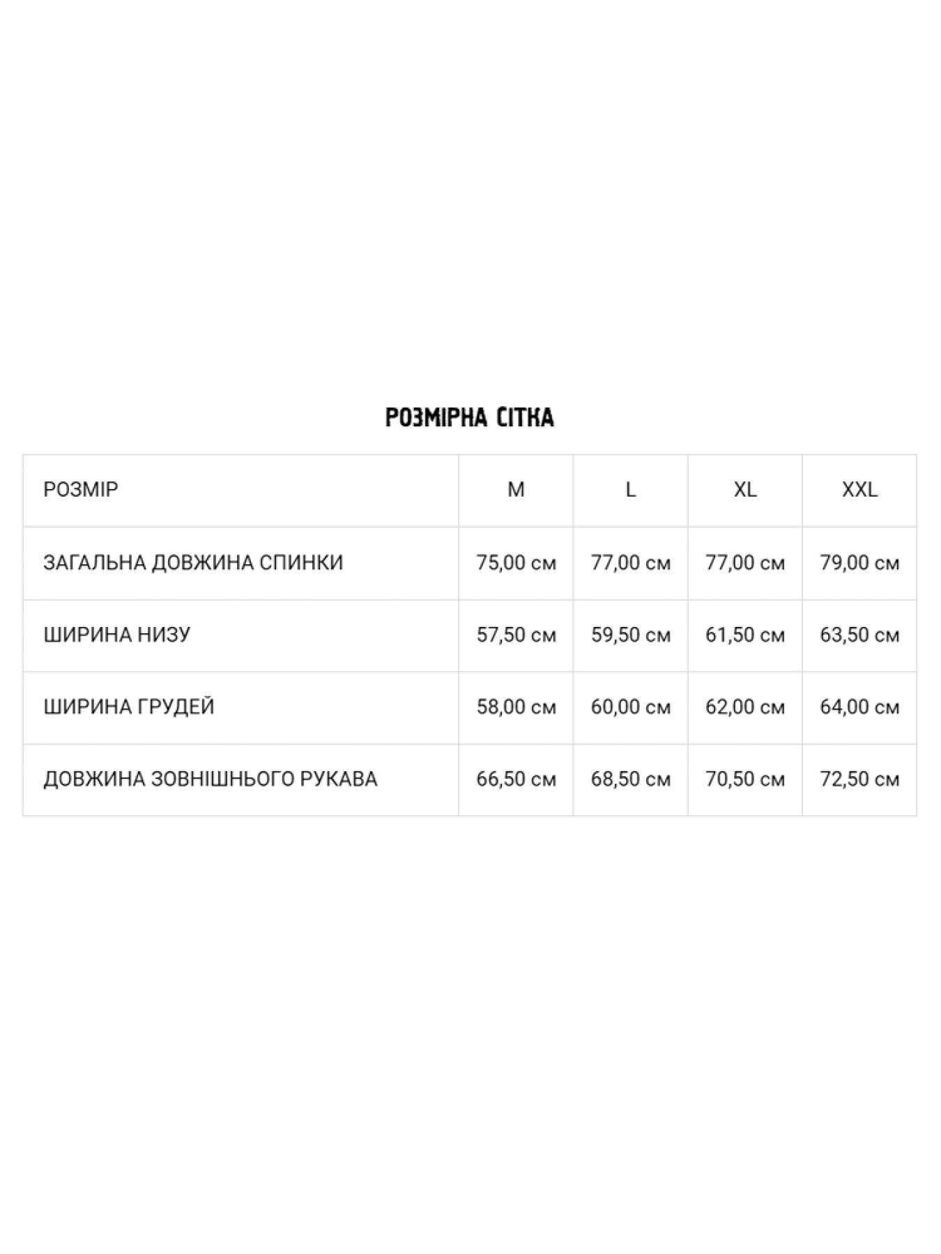 Рубашка DIVERSE модель 10039935 Фото