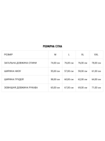 Сорочка DIVERSE модель 10042619 Фото