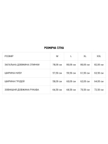 Рубашка DIVERSE модель 10042821 Фото