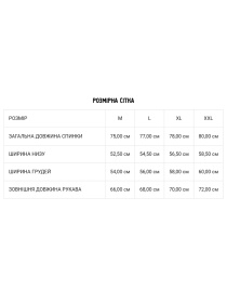 Сорочка DIVERSE модель 10042822 Фото