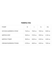 Сорочка повсякденна DIVERSE модель 10043458 Сорочка повсякденна DIVERSE модель 10043458 Фото