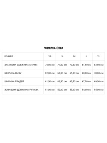 Рубашка DIVERSE модель 10043389 Фото