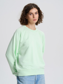 Світшот Роза модель 231111_light_green Фото