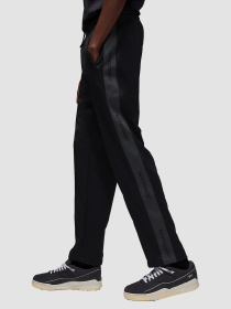 Штани повсякденні Jordan Essentials модель HF9341-010 Фото