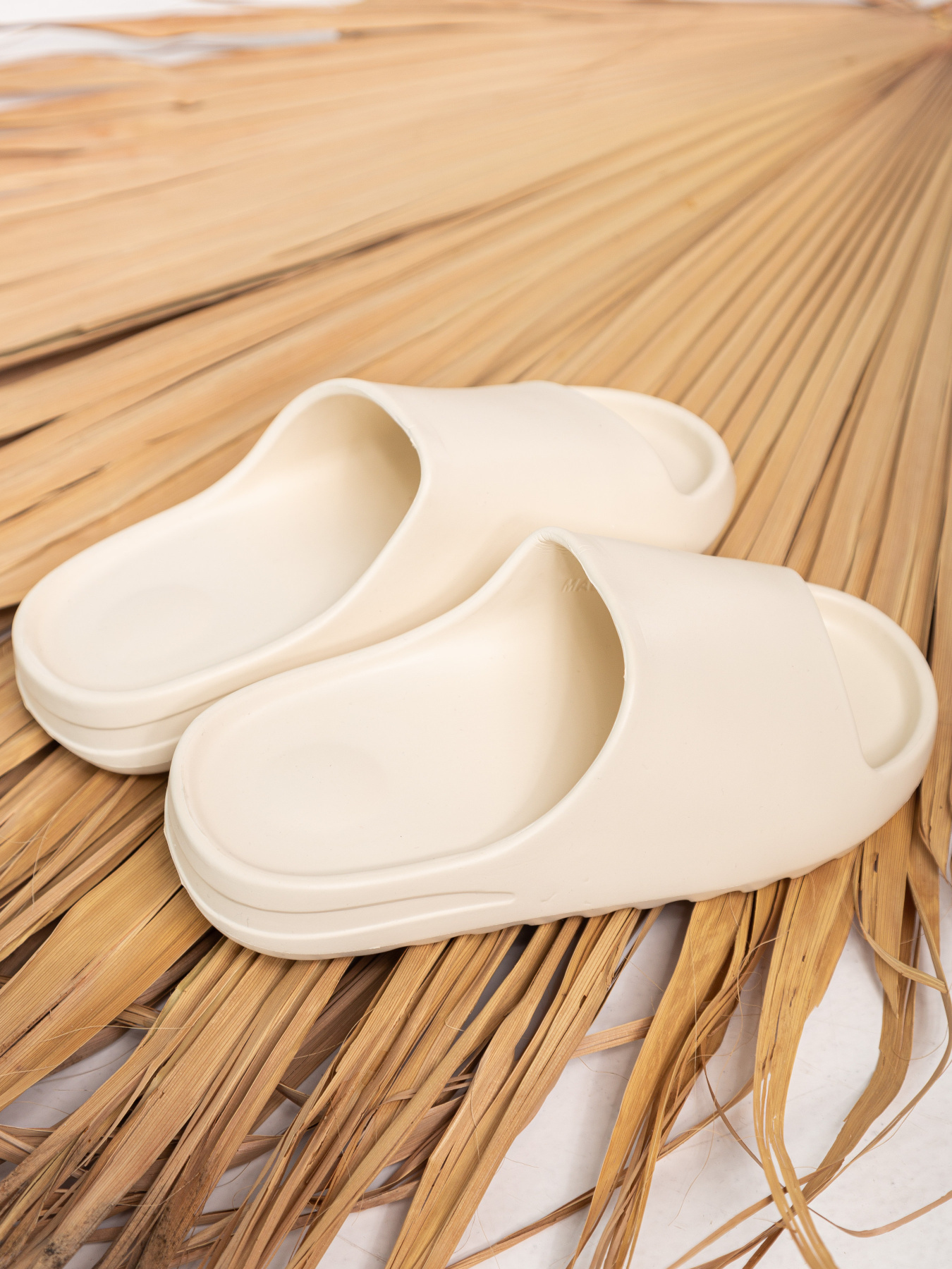 Шльопанці Famo модель SL-M01_03 Фото