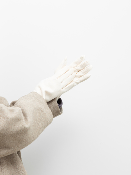 Рукавиці та рукавички Famo модель RUK-KX-12_05 Фото