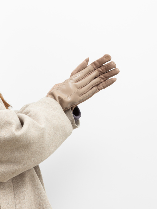 Перчатки и варежки Famo модель RUK-3MT-4_05 Фото