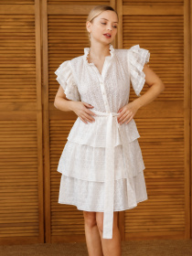 Сукня міні Alnest модель AN358 Фото