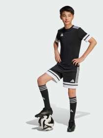 Шорты спортивные Adidas модель JJ2417 Фото