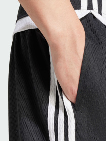 Повседневные шорты Adidas Adicolor модель IZ4800 Фото