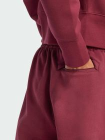 Джогери Adidas Adicolor модель JC9902 Фото