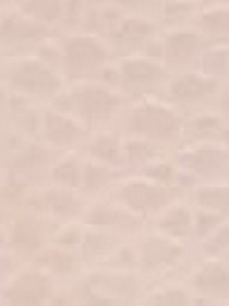 Брелок Furla модель WR00434AME0000496S1007 Фото