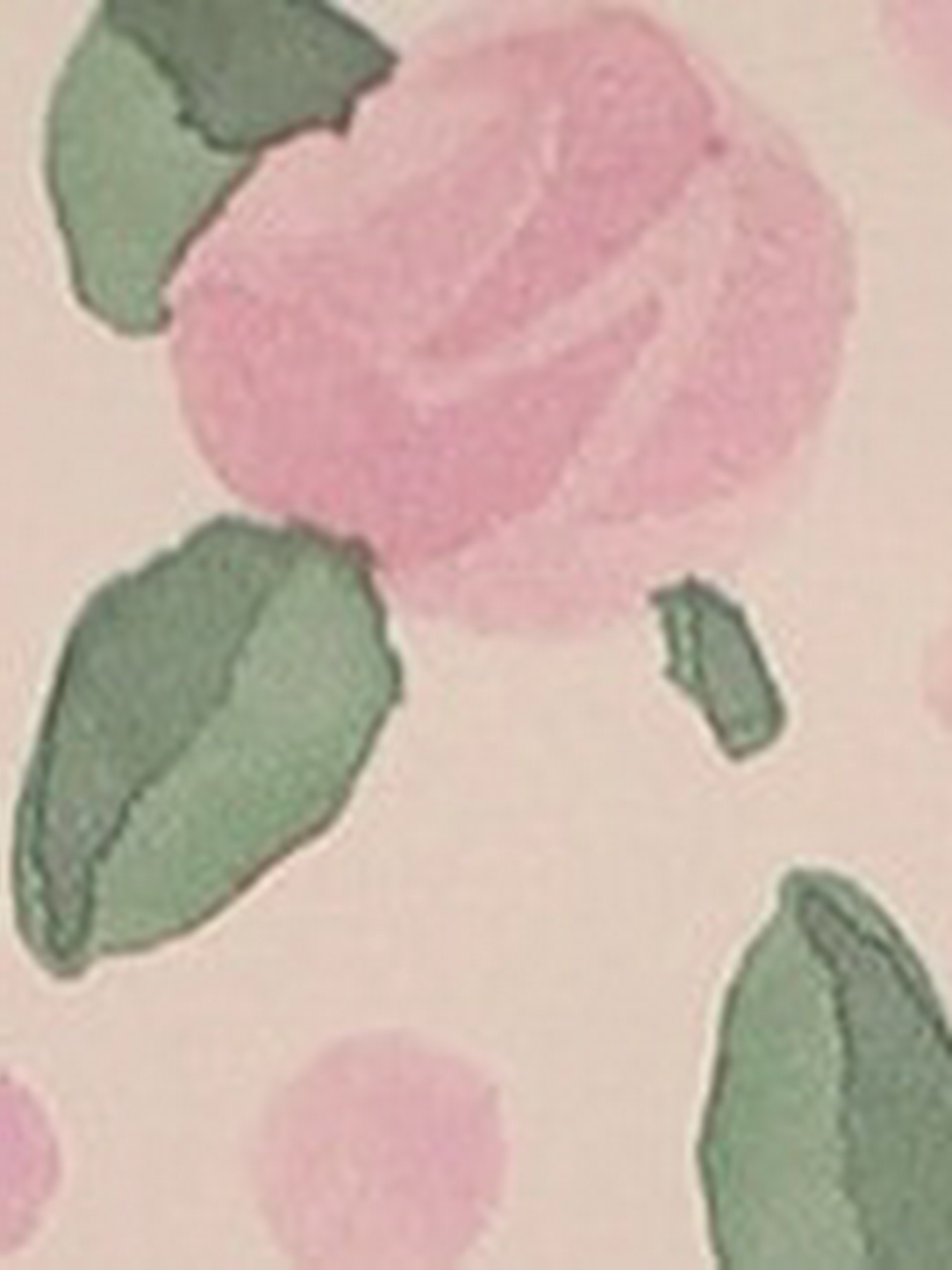 Кросс-боди Furla модель WB01262BX3863TAZ001007 Фото