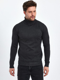 Водолазка Trend Collection модель TC10452GreyVDLZK Фото