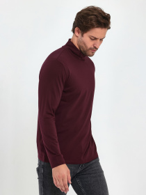 Водолазка Trend Collection модель TC9416BordoVDLZK Фото