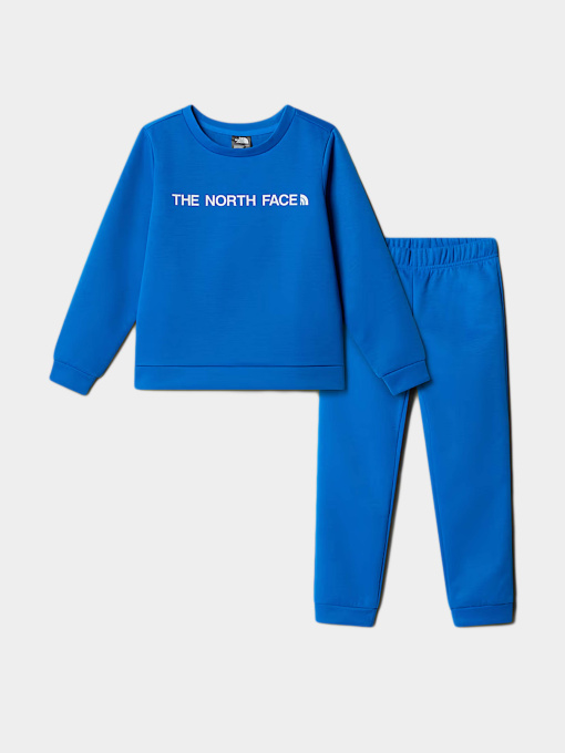 Костюмы The North Face модель NF0A89H3T4S1 Фото