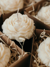 Набір свічок "Ажурна романтика" з натурального оливкового воску Candle Design модель 200.0098 Набір свічок "Ажурна романтика" з натурального оливкового воску Candle Design модель 200.0098 Фото