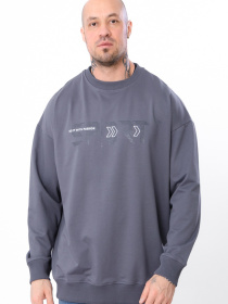 Свитшот Носи своє модель 8379-057-33-1-temnij-graft-sport Фото