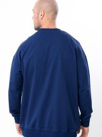 Світшот Носи своє модель 8379-057-1-sapfrovij Фото