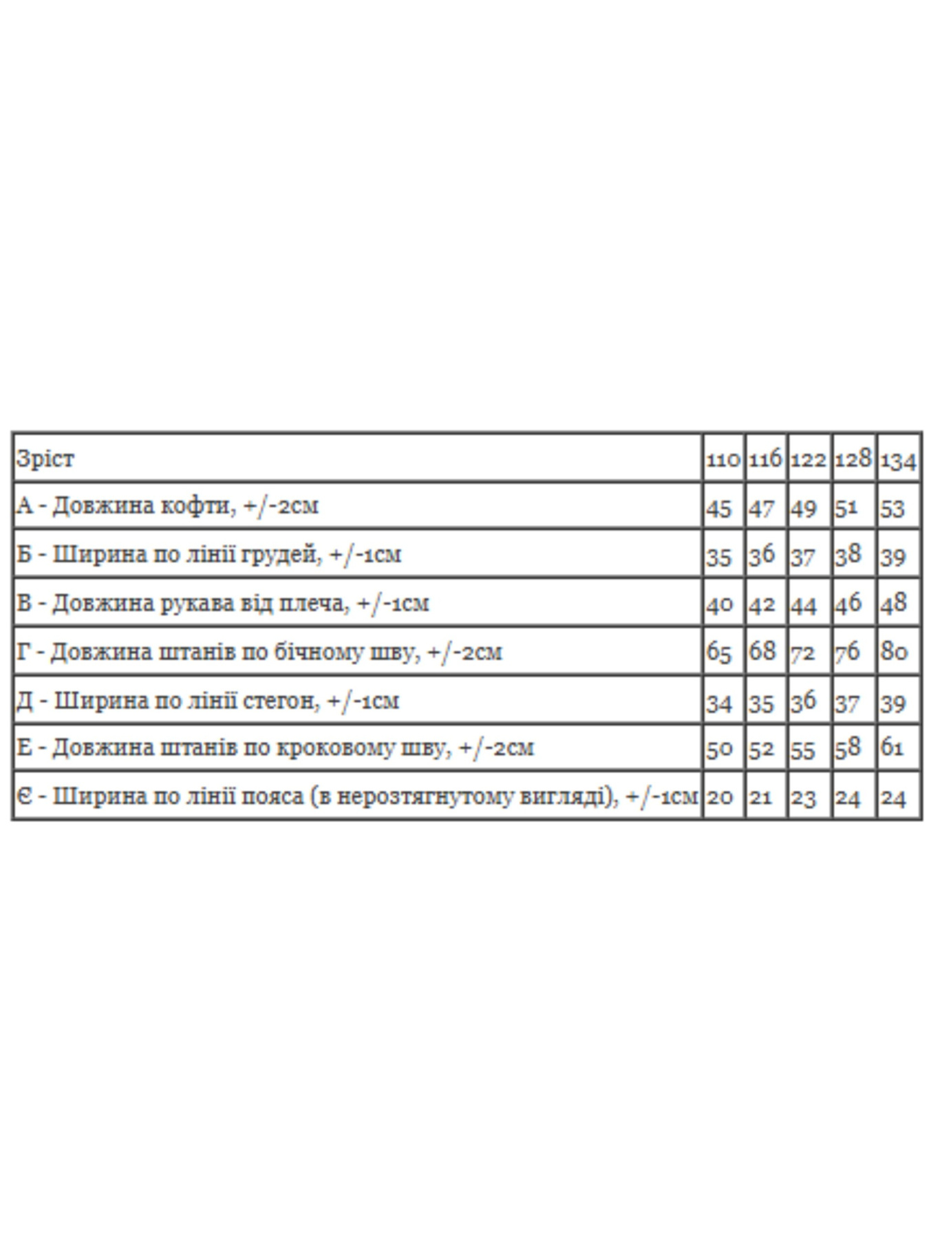 Спортивный костюм Носи своє модель 6152-057-4-chornij-bryuzova-blakitx Фото