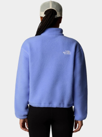 Худи и свитшоты The North Face модель NF0A88Z30YI1 Фото