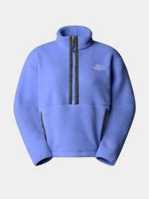Худи и свитшоты The North Face модель NF0A88Z30YI1 Фото
