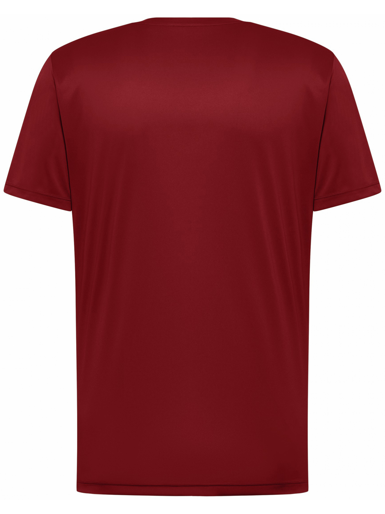 Футболка Jack Wolfskin модель A63293_2206 Фото