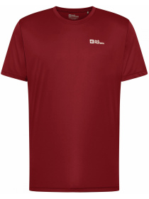 Футболка Jack Wolfskin модель A63293_2206 Фото