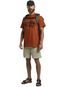 Футболка Jack Wolfskin модель A64116_3330 Фото