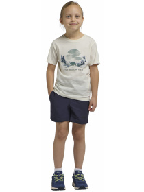 Футболка Jack Wolfskin модель A64185_T0218 Фото