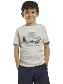 Футболка Jack Wolfskin модель A64185_T0218 Фото