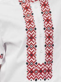 Вышитая рубашка Едельвіка модель 06-20-09 Фото