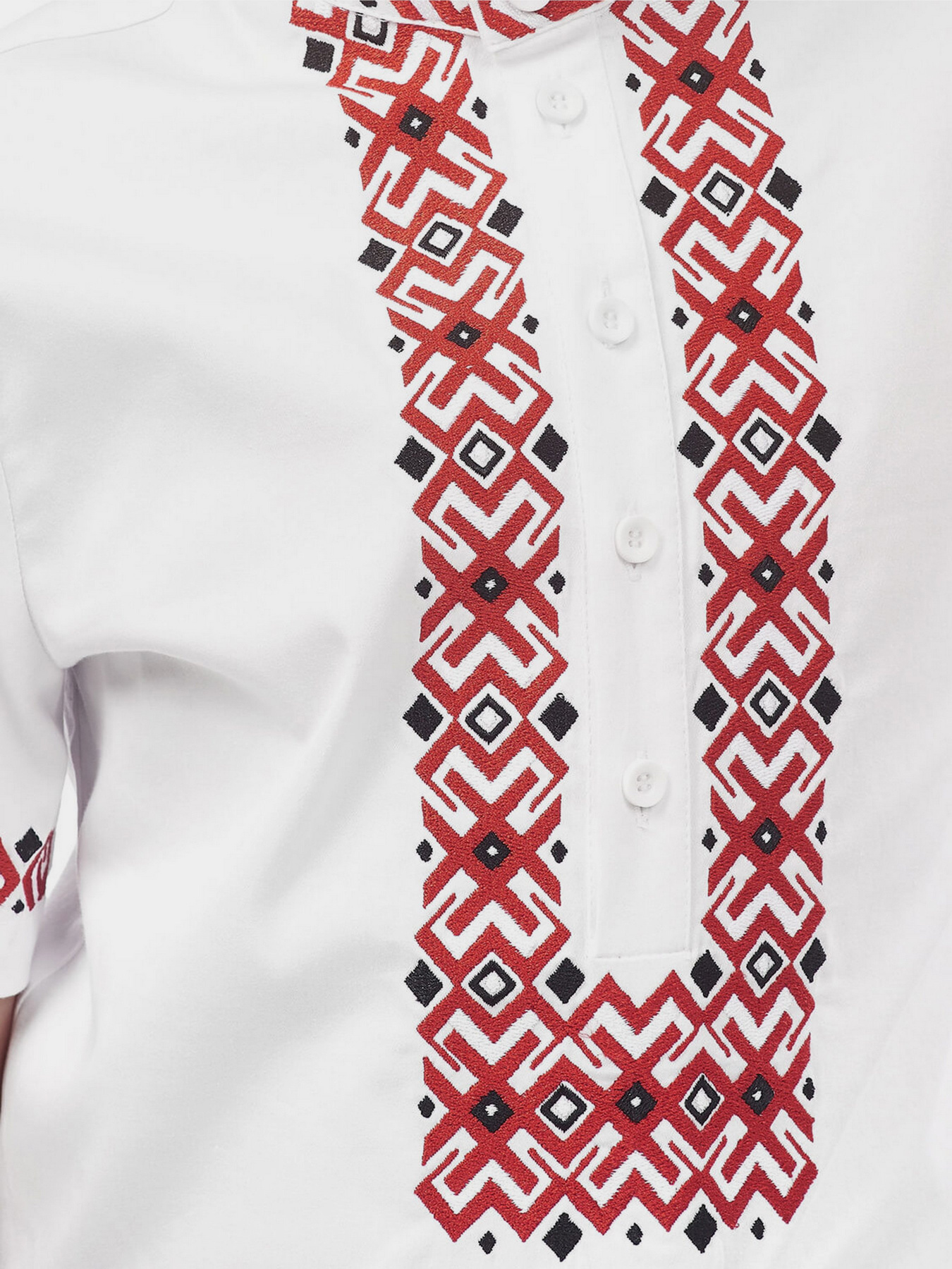 Вишита сорочка Едельвіка модель 06-20-09 Фото