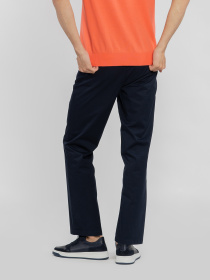 Брюки повседневные Arber модель M01.43.09.511 Фото